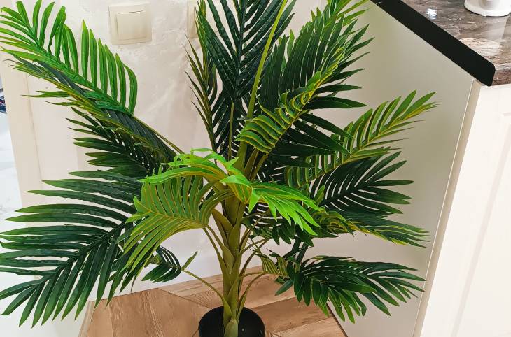 2-Комнатная квартира на сутки в  Бресте,  17 Сентября ул., 4    изображение 16 - kvartirka.by