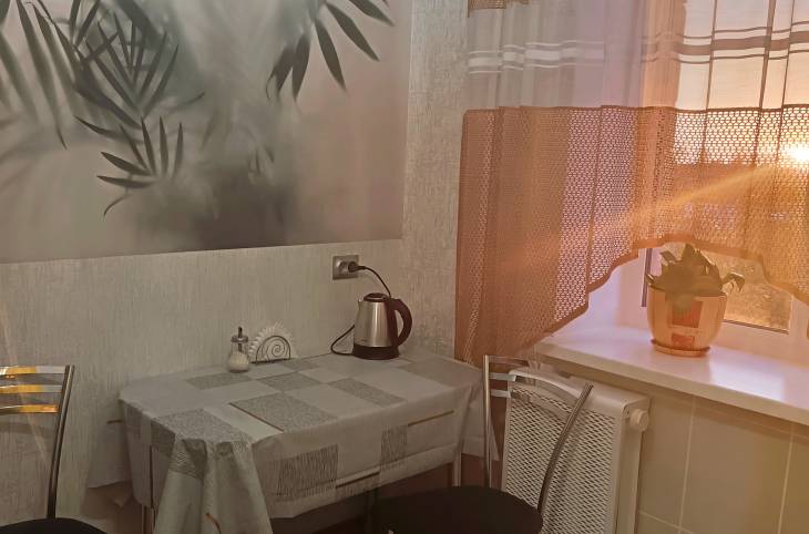 1-Комнатная квартира на сутки в  Пинске,  Телефонная ул., 15    изображение 10 - kvartirka.by