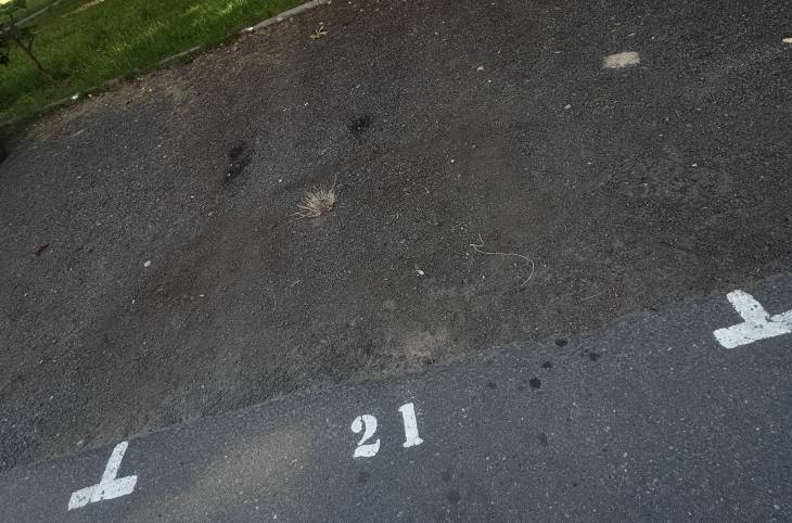 3-Комнатная квартира на сутки в  Гродно,  Мира ул., 10    изображение 6 - kvartirka.by