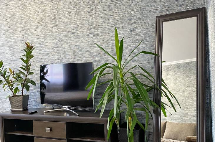 1-Комнатная квартира на сутки в  Новополоцке,  Юбилейная ул., 3    изображение 1 - kvartirka.by