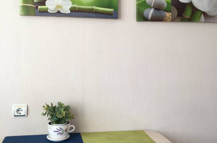 2-Комнатная квартира на сутки в  Новополоцке,  Молодежная ул., 92    изображение 4 - kvartirka.by