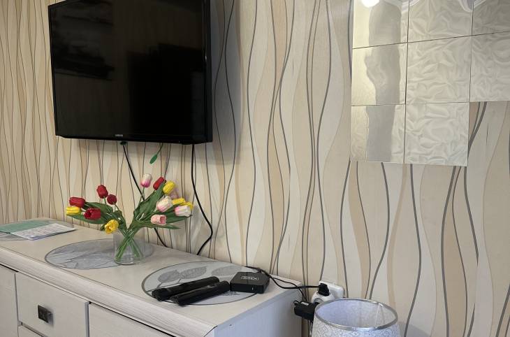 1-Комнатная квартира на сутки в  Барановичах,  Бородинского бул., 9/1    изображение 1 - kvartirka.by