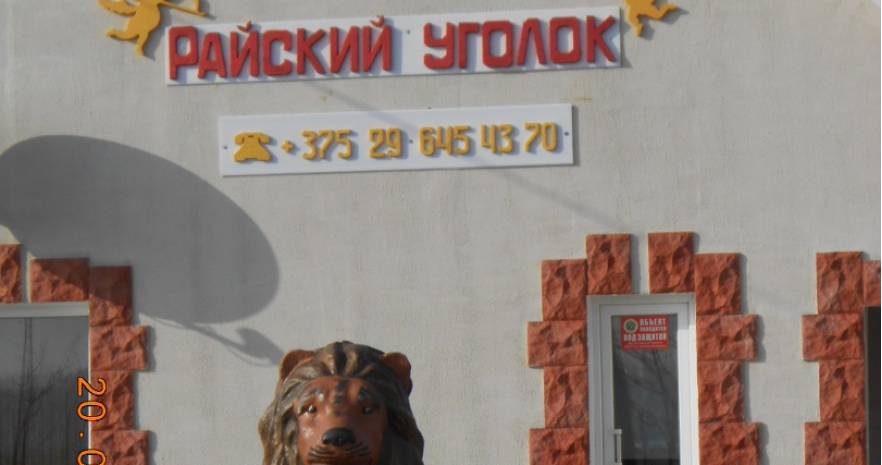 Усадьба "Райский уголок" в Могилевской области, дер. Бутримовка, ул. Центральная, 6  изображение 1 - kvartirka.by