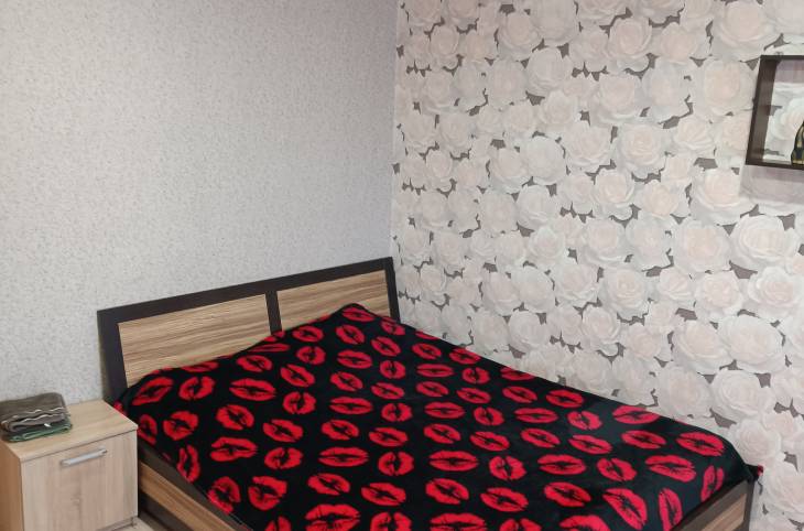 1-Комнатная квартира на сутки в  Орше,  Ленина ул., 36    изображение 1 - kvartirka.by