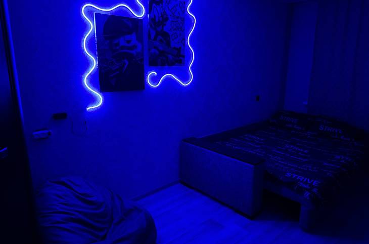 1-Комнатная квартира на сутки в  Минске,  Каменногорская ул., 20    изображение 1 - kvartirka.by