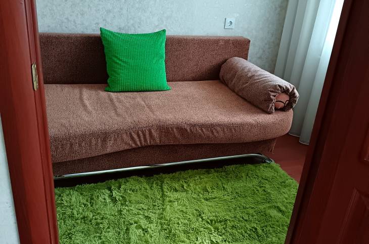 1-Комнатная квартира на сутки в  Пинске,  Первомайская ул., 187   изображение 3 - kvartirka.by