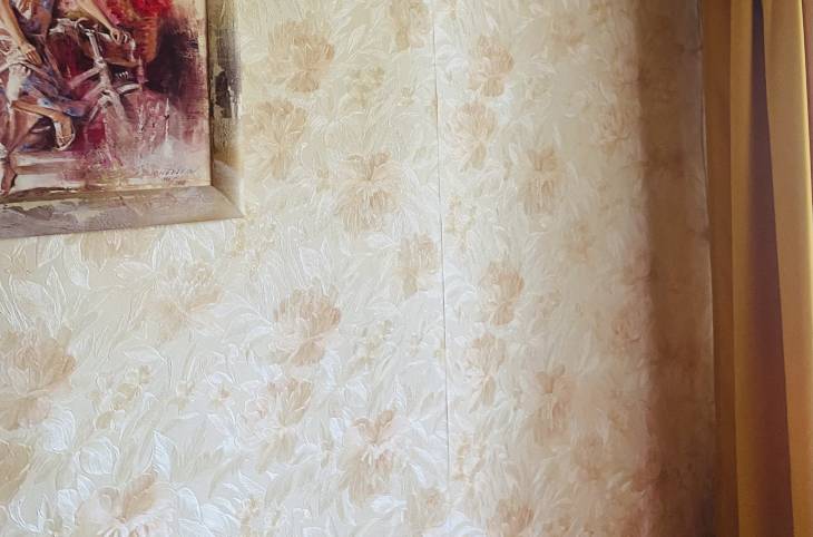 2-Комнатная квартира на сутки в  Орше,  Мира ул., 56    изображение 13 - kvartirka.by