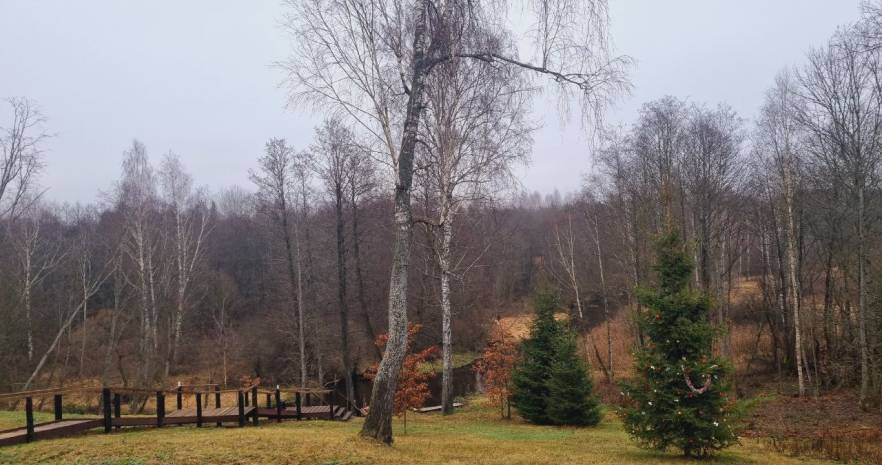 Тихое место в Минской области, Деревня Капланцы, улица Капитана Хмары, дом 28  изображение 21 - kvartirka.by