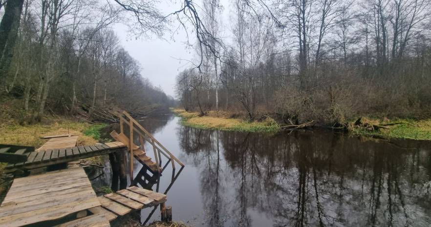 Тихое место в Минской области, Деревня Капланцы, улица Капитана Хмары, дом 28  изображение 24 - kvartirka.by