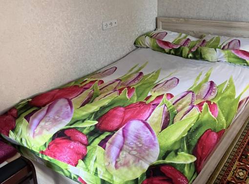 Отдельная квартира в частном доме, две комнаты, мангал. - kvartirka.by