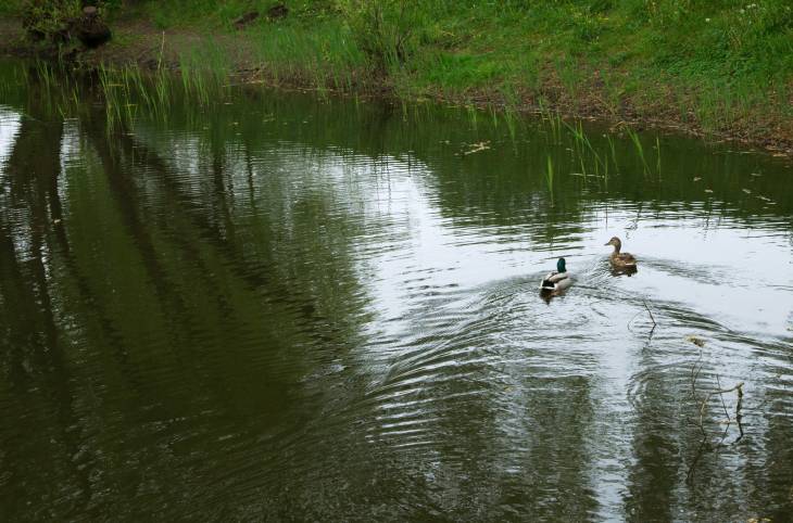 Студия на сутки в  Минске,  Евфросиньи Полоцкой ул., 3    изображение 25 - kvartirka.by