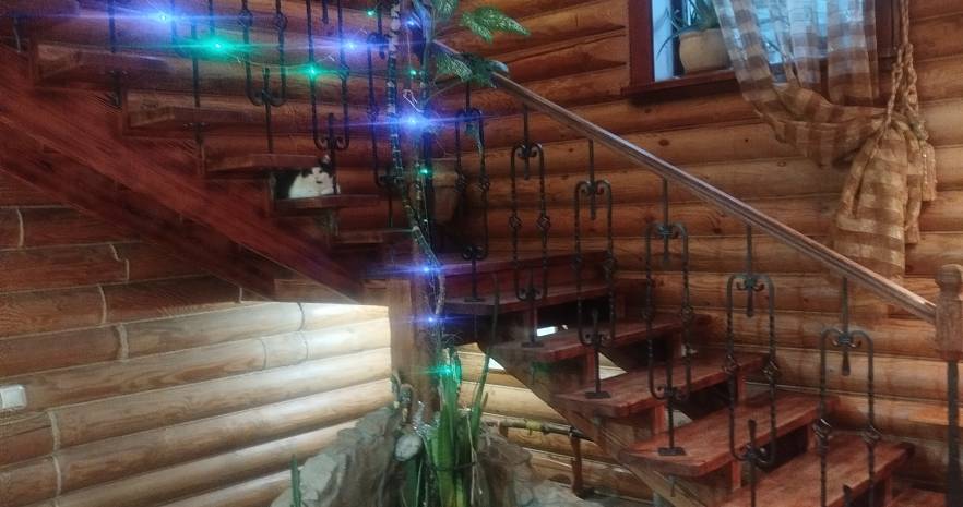 Дом-Оазис  в Гомельской области, г. Гомель ул. Далёкая дом 49  изображение 3 - kvartirka.by