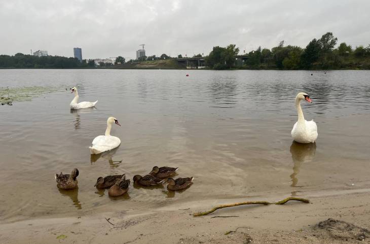 3-Комнатная квартира на сутки в  Бресте,  Мопра ул., 12    изображение 21 - kvartirka.by