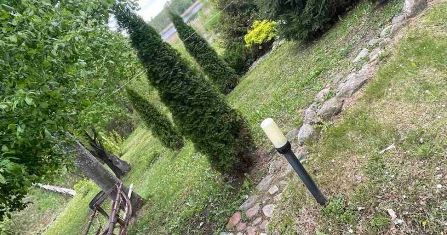 Агроусадьба «Островок тишины» в Витебской области, Витебская область, Лепельский район, д. Хвощово, дом 3.  изображение 15 - kvartirka.by