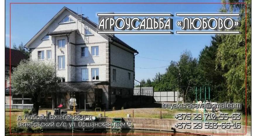 Агроусадьба ЛЮБОВО в Витебской области, д. Любово, ул. Оршанская, д. 5  изображение 3 - kvartirka.by