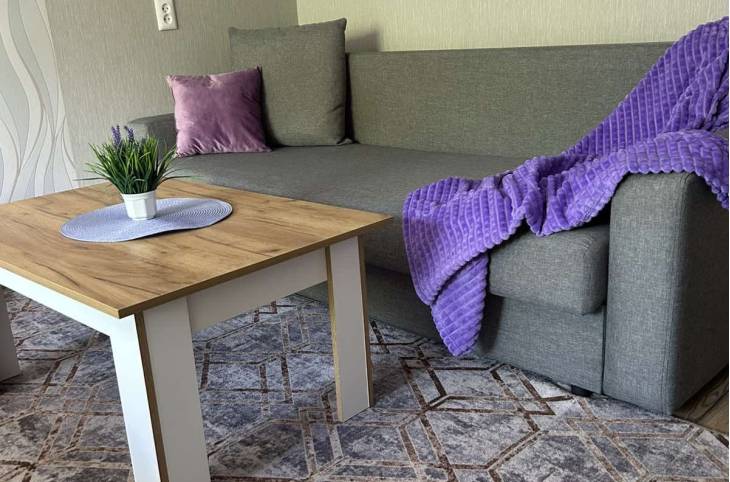 2-Комнатная квартира на сутки в  Лиде,  Космонавтов ул., 16/2    изображение 1 - kvartirka.by