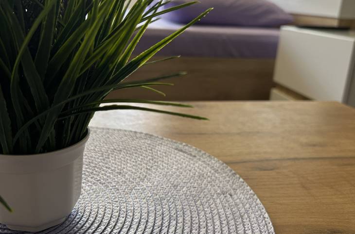 2-Комнатная квартира на сутки в  Лиде,  Космонавтов ул., 16/2   изображение 3 - kvartirka.by