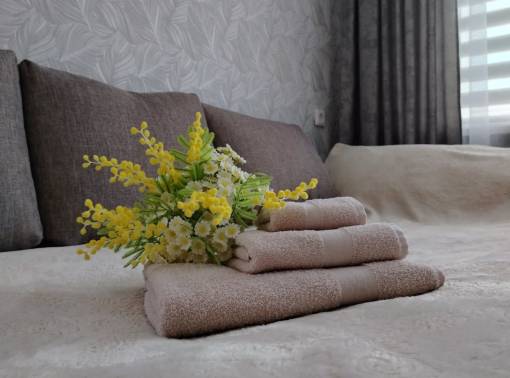 Уютная квартира на сутки в центре Молодечно - kvartirka.by