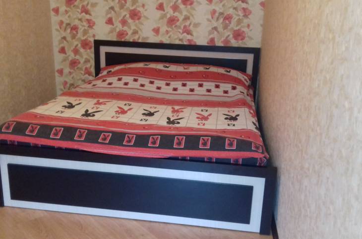 2-Комнатная квартира на сутки в  Борисове,  Чапаева ул., 30А     изображение 5 - kvartirka.by