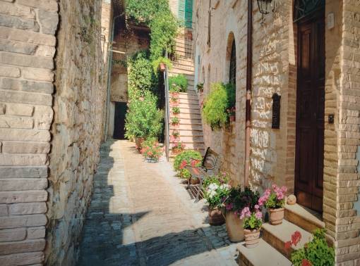 Уютная двухкомнатная квартира в центре - kvartirka.by