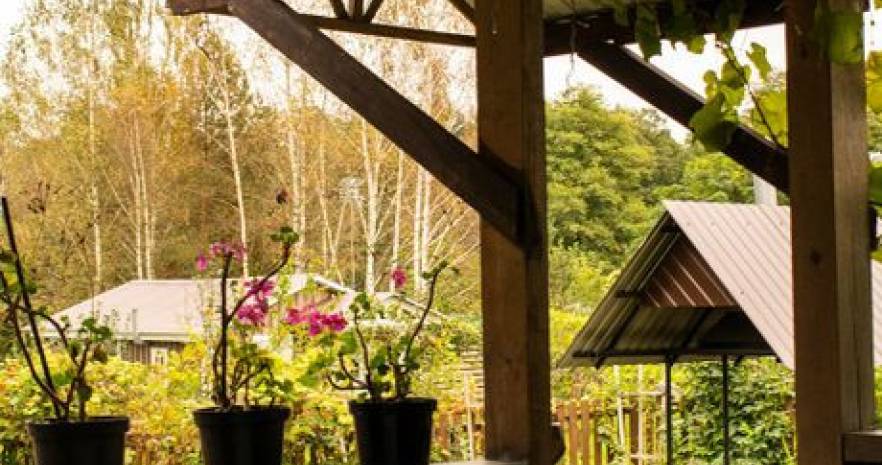 Усадьба Боровики  в Гродненской области,  д. Боровики, 34  изображение 10 - kvartirka.by