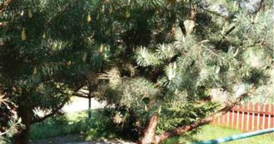 Усадьба "Ельница" в Минской области, д. Ельница, ул. Китаева, д.77 А, Новодворский сельсовет  изображение 16 - kvartirka.by