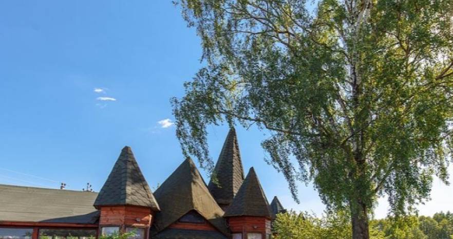 Усадьба "Ельница" в Минской области, д. Ельница, ул. Китаева, д.77 А, Новодворский сельсовет  изображение 32 - kvartirka.by