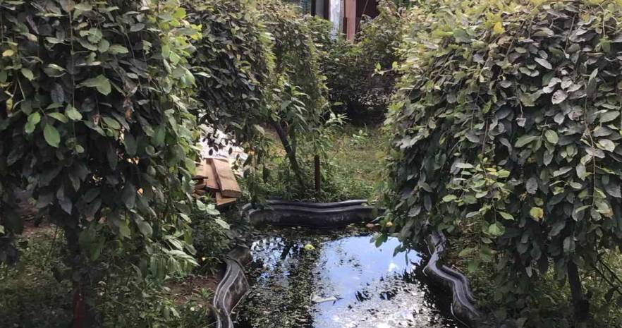 Усадьба Ельница - 2 в Минской области, д. Ельница, ул. Китаева, д.77 А, Новодворский сельсовет  изображение 15 - kvartirka.by