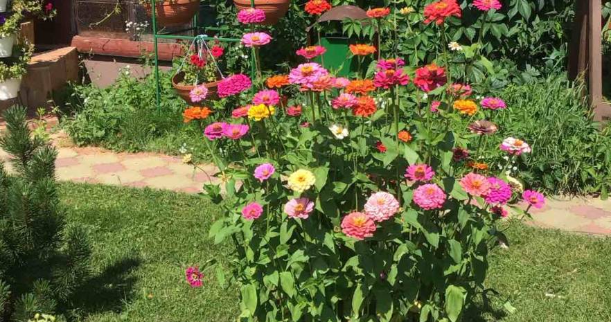 Усадьба Ельница - 2 в Минской области, д. Ельница, ул. Китаева, д.77 А, Новодворский сельсовет  изображение 16 - kvartirka.by