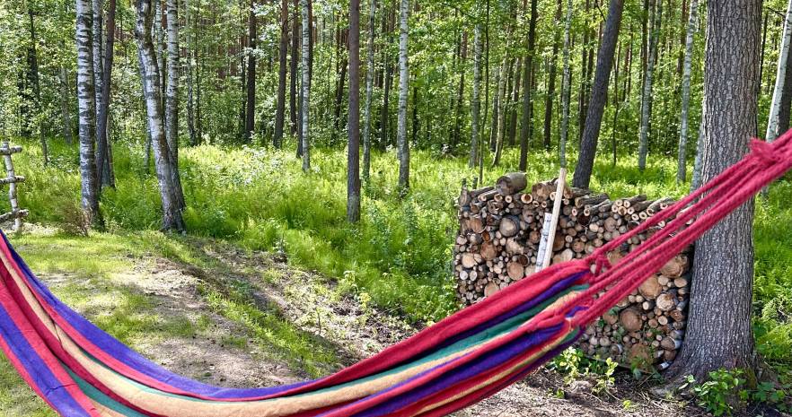 Домик на опушке леса  в Витебской области, Хомковщина, ул. Лесная, д. 69  изображение 17 - kvartirka.by