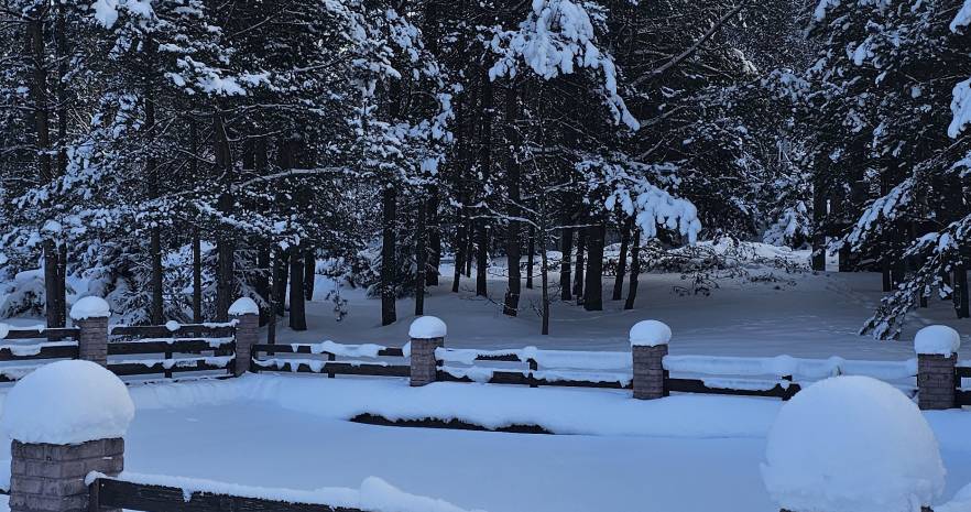 Агроусадьба "Хвоя" в Могилевской области, Могилевский район, Мостокский сельсовет,Деревня Павловка, ул. Шоссейная, 2  изображение 4 - kvartirka.by