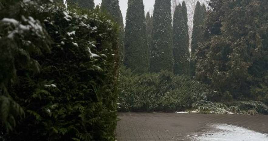 Forest Village в Минской области, д. Ельница,  ул.  Полевая  д. 23  изображение 34 - kvartirka.by