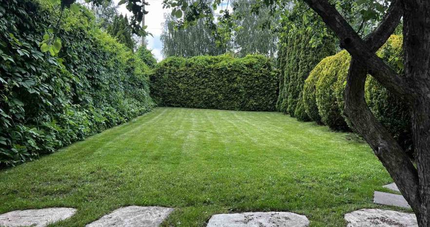 Forest Village в Минской области, д. Ельница,  ул.  Полевая  д. 23  изображение 4 - kvartirka.by