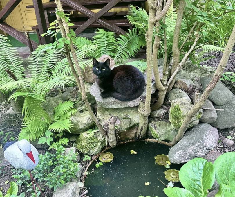 Большой дом у реки с Баней Витебск - kvartirka.by