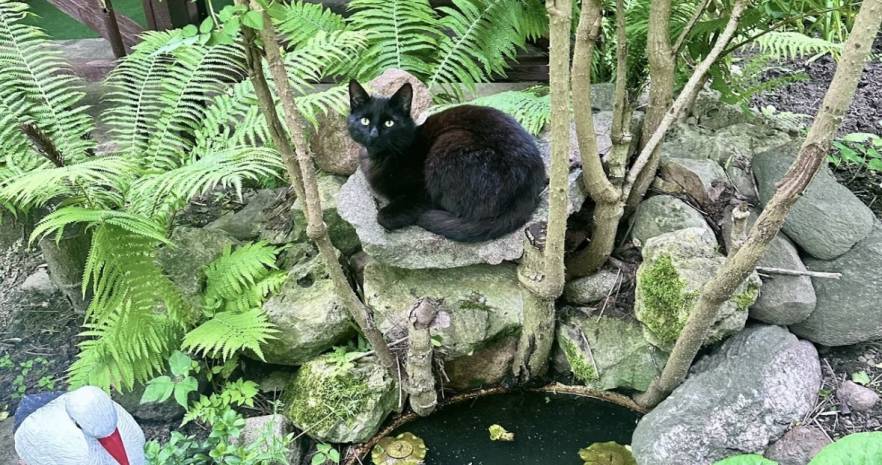 Большой дом у реки с Баней Витебск в Витебской области, СТ Зелёный Берег, д.39, Октябрьский сельсовет  изображение 3 - kvartirka.by