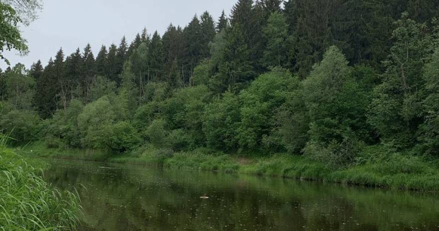 Большой дом у реки с Баней Витебск в Витебской области, СТ Зелёный Берег, д.39, Октябрьский сельсовет  изображение 5 - kvartirka.by