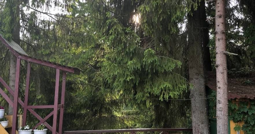 Большой дом у реки с Баней Витебск в Витебской области, СТ Зелёный Берег, д.39, Октябрьский сельсовет  изображение 14 - kvartirka.by