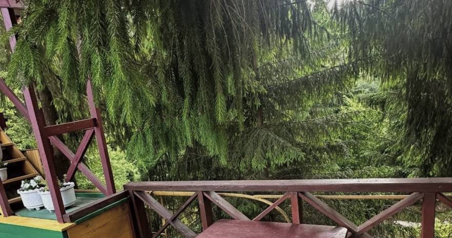 Большой дом у реки с Баней Витебск в Витебской области, СТ Зелёный Берег, д.39, Октябрьский сельсовет  изображение 15 - kvartirka.by