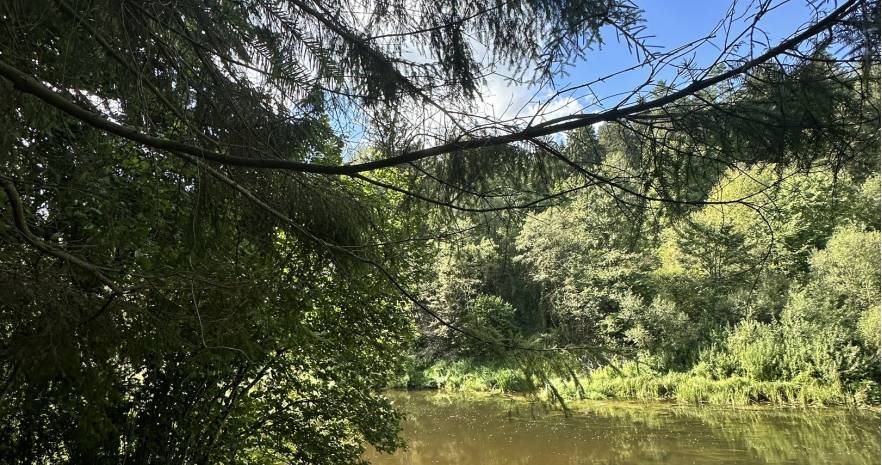 Большой дом у реки с Баней Витебск в Витебской области, СТ Зелёный Берег, д.39, Октябрьский сельсовет  изображение 24 - kvartirka.by