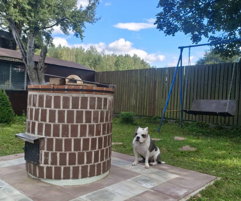 Лесной рай - kvartirka.by