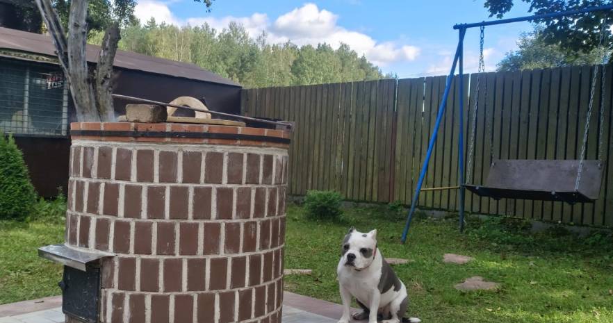 Лесной рай в Минской области, д. Понизовье, ул. Заречная 2  изображение 4 - kvartirka.by