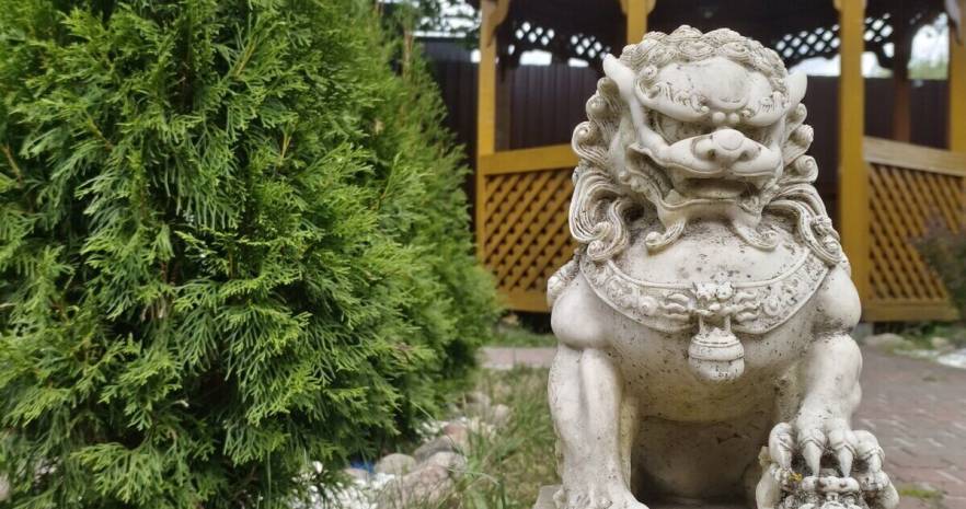 Лесной рай в Минской области, д. Понизовье, ул. Заречная 2  изображение 23 - kvartirka.by