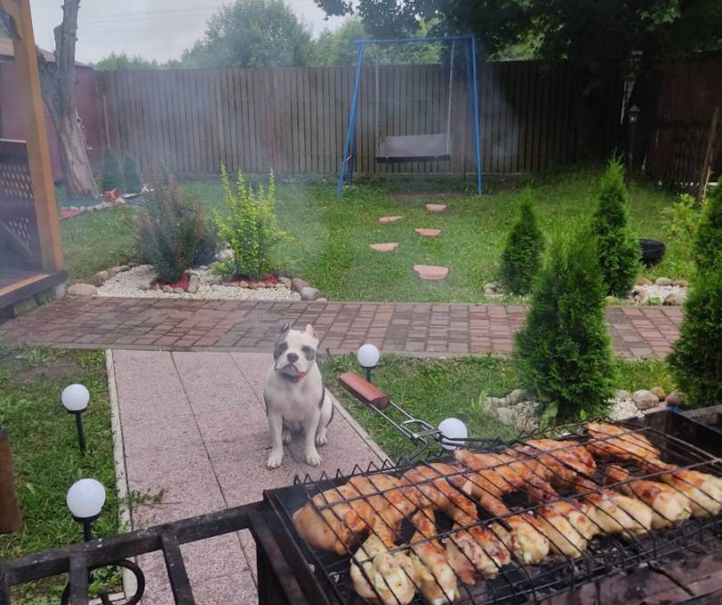 Лесной рай - kvartirka.by