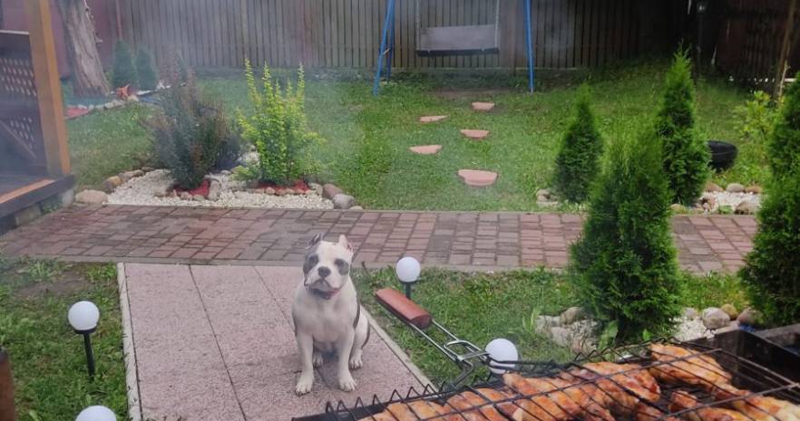 Лесной рай в Минской области, д. Понизовье, ул. Заречная 2  изображение 5 - kvartirka.by