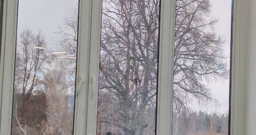 Коттедж для отдыха в Минской области, д.Заказинец, ул. Фермерская, д. 3  изображение 6 - kvartirka.by