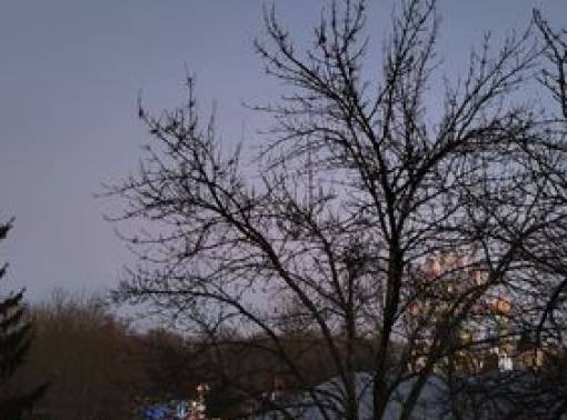 Просторные апартаменты с видом на парк - kvartirka.by