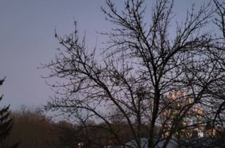 2-Комнатная квартира на ночь в  Гомеле,  Гагарина Юрия ул., 9a    изображение 6 - kvartirka.by