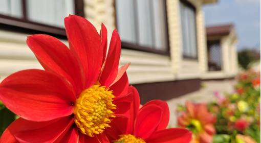 Домик в деревне для отдыха  - kvartirka.by