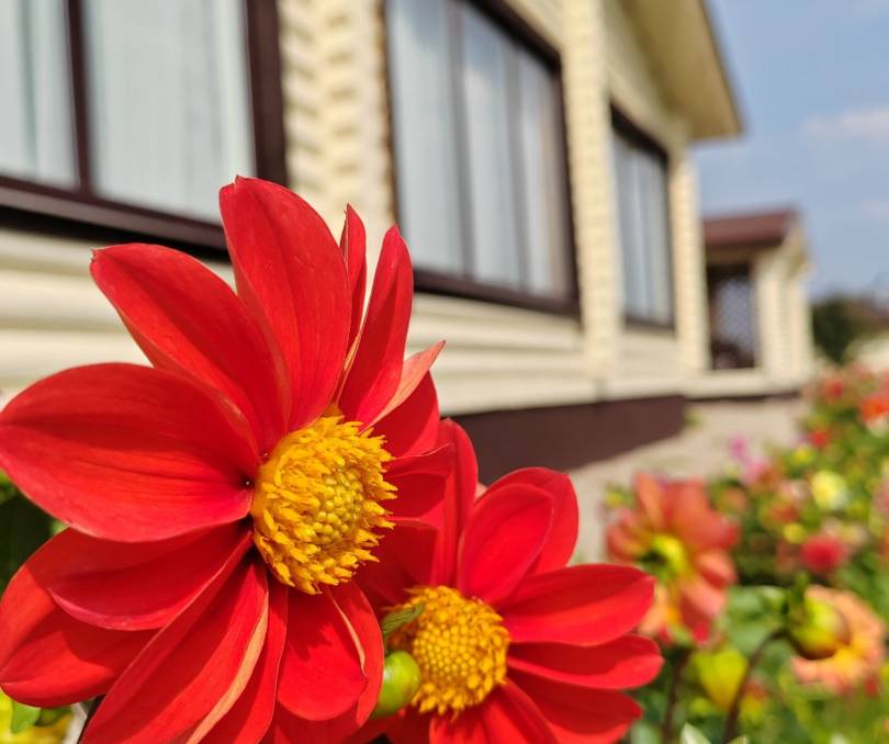 Домик в деревне для отдыха  - kvartirka.by