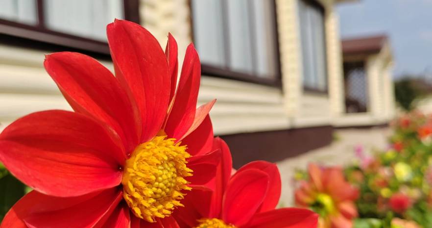 Домик в деревне для отдыха  в Минской области, д.Знаменка, ул.Поселковая, д.26  изображение 1 - kvartirka.by